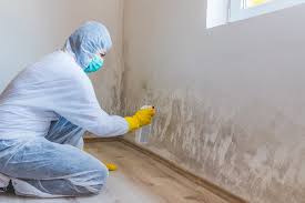 Best Basement Mold Removal  in Glespie, IL