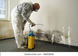 Best Mold Removal for HVAC Installations  in Glespie, IL